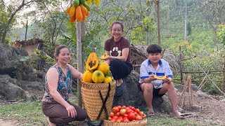 Harvest tomatoes and papaya with your family to sell at the market and cook with your parents [upl. by Zennie]