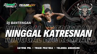 JINGLE BANTENGAN SATRIO MAHESO  NINGGAL KATRESNAN  Remixer By SAMID PROJECT [upl. by Nnaylime]