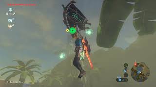 Zelda BOTW faire de largent facilement [upl. by Phio]