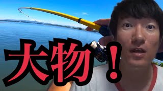 浜名湖でダイソージギングとエサ釣りで快釣🔥 [upl. by Graniah]