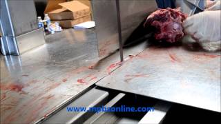 Commercial Meat Bandsaw Venison Large Bones Cut Demo 323 268 8514 [upl. by Trista]