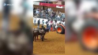 Bucking horse dies at Fort Worth Stock Show and Rodeo [upl. by Candace]