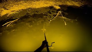 BLOWGUN and Bowfishing BIG FISH on a NEW LAKE [upl. by Canty]