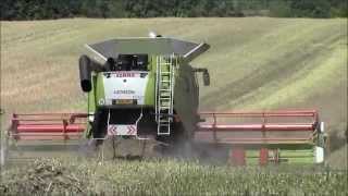 Claas Lexions Harvesting oil seed rape2014wvm [upl. by Idalia]