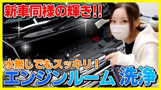 【新車以上の輝きに大満足】父のデリカD5のエンジンルームを徹底洗浄してみた！誰でも簡単にドロドロ汚れを落とせます！ [upl. by Nolaj843]