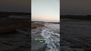 Clovelly Beach Sydney NSW Australia 🦘🦘🦘🦘🦘🦘🦘🦘🦘🦘🦘🦘🦘🦘🦘🌏 [upl. by Ainsley]