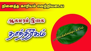 நினைத்த காரியம் நொடியில் நடந்திட ஆல இலை தாந்திரீகம் செய்துபாருங்கள் பலன் கிடைக்கும்  Vasiyam [upl. by Darryn147]