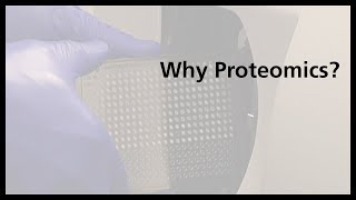 Why Proteomics [upl. by Ahsenat]