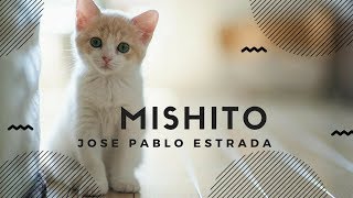 MISHITO MIO con letra [upl. by Llehcsreh]