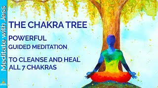 Chakra Healing amp Balancing Guided Meditation  Powerful And Divine Healing  528Hz Binaural Beats [upl. by Cone]