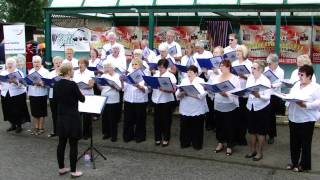 Canvey Community Choir 1st Performance Sunshine In My Heart June 2011 [upl. by Anirehtak600]