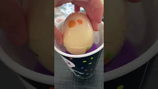 Opening an adopt me egg in real life… [upl. by Haleemaj]