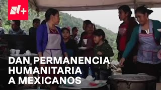 Guatemala otorga estatus de permanencia por razones humanitarias a 207 mexicanos  En Punto [upl. by Alegnaed]