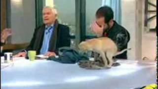 Dog poops on Live TV Show [upl. by Kauppi]