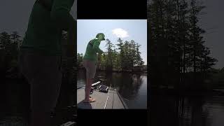 Here fishy fishy 1 fishing bassfishing fypシ゚viral fishyfish [upl. by Royal]