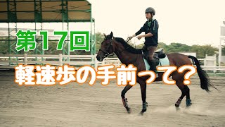 【動画でレッスン17】軽速歩の手前って？｜神戸からすぐの乗馬クラブ明石乗馬協会 [upl. by Evod]