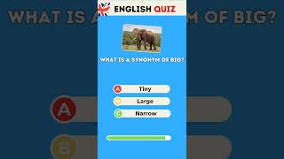 Synonym of big english vocabulary quiz [upl. by Lolita]