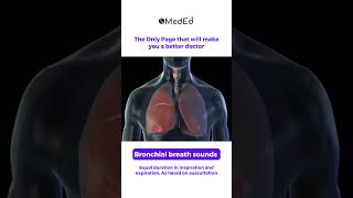 The Bronchial Breath Sound pwmeded [upl. by Fidelas]