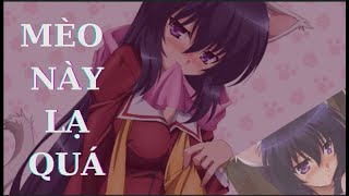 MÈO NÀY LẠ QUÁ Anime Omamori Himari anime review [upl. by Noble631]