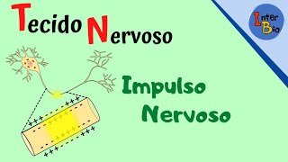 Impulso Nervoso [upl. by Shepperd421]