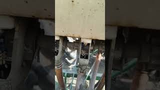 While sowing wheat seeds in the field viralvideo automobile minivlog farming tarnding short [upl. by Pearle449]