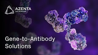 Recombinant Antibody Production for Enhanced Downstream Research [upl. by Tanya243]