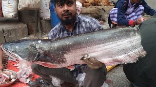 Amazing Fish Cutting Skills10kg Big Boal Fish Cutting Skills In Bangladeshi Fish MarketDhaka [upl. by Nitsrek]