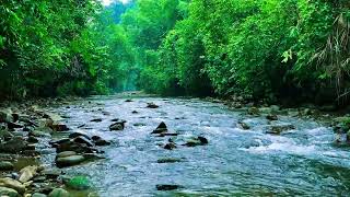 Babbling brook sounds 3 hours  Relaxing river sounds sleep ASMR [upl. by Loseff]