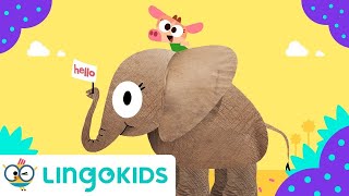 COWY HAS AN ELEPHANT 🐘  Nursery Rhymes  Lingokids [upl. by Kcirddot183]