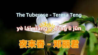 夜来香 邓丽君ye lai xiang  Teresa TengChinese songs lyrics with Pinyin [upl. by Annoj590]