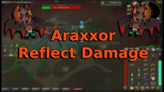 OSRS  Reflecting Damage to Araxxor  Araxxor Speed Run Meta [upl. by Aiyn]