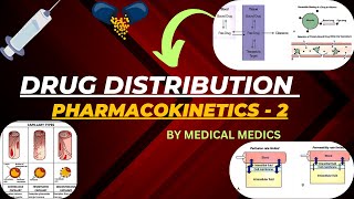 Pharmacokinetics  Drug Distribution  Volume of Distribution  Medical Medics [upl. by Esekram]