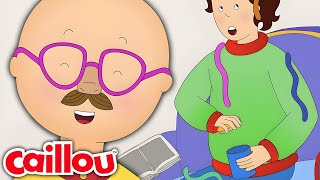 Caillou the Prankster  Caillous New Adventures  Season 3 Episode 18 [upl. by Shaper950]