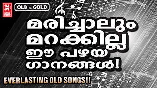 അടുത്തജന്മത്തിലും ഏതൊരു മലയാളിയും കേൾക്കാനാഗ്രഹിക്കുന്ന പഴയ ചിത്രങ്ങളിലെ നിത്യഹരിതഗാനങ്ങൾ [upl. by Elissa166]