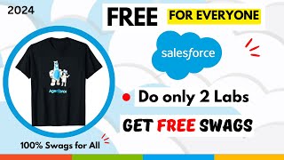 Get New Salesforce Swags for Free  How to get Salesforce swags in 2024 [upl. by Eiramlatsyrk280]