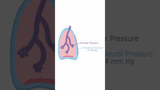 Intrapleural Pressure  Quick Explanation [upl. by Farleigh428]