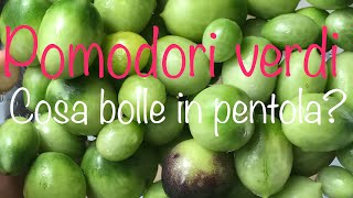 Cosa fare dei pomodori verdi non ancora maturi Vienilo a scoprire in questo video [upl. by Neerihs589]