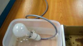 WD40 Light Bulb Test [upl. by Gnemgnok]