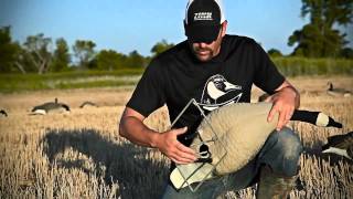 NEW for 2012 Avian X AXF and AXP Fullbody Honker Decoys [upl. by Raffin]