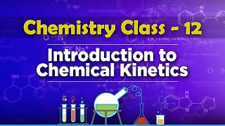 Introduction to Chemical Kinetics  Chemical Kinetics  Chemistry Class 12 [upl. by Irrok]