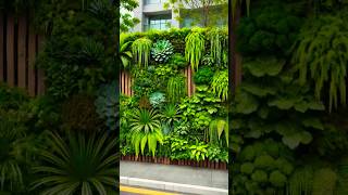 Home garden decoration ideayoutube gardendesign gardenplants shortsvideo [upl. by Radek]