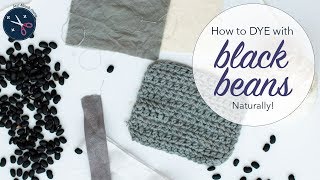 Black beans dye yarn or fabric grey  blue  natural dyeing tutorial  Last Minute Laura [upl. by Gitel]