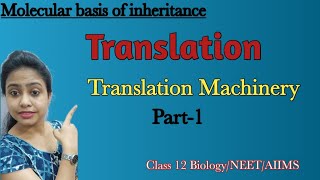 Translation  Part1  Protein Synthesis  Molecular basis of Inheritance  Class 12 Biology NEET [upl. by Hairahs894]