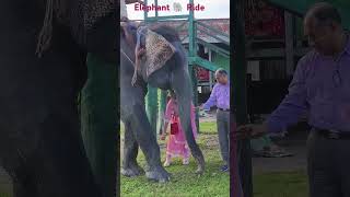 nature ecotourism elephant travel [upl. by Coral401]