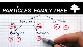 Classification of Particles  A Level Physics [upl. by Severson]