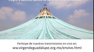 Transmisiones en vivo desde la Basílica de Guadalupe [upl. by Ocsisnarf]