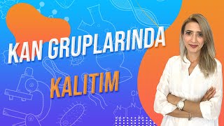 38DERS KAN GRUPLARINDA KALITIM  TYT 10SINIF l Seda Hoca Biyoloji 🤗 [upl. by Airal]