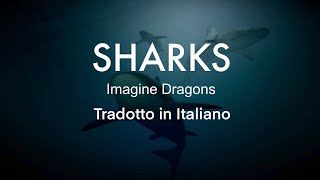 Imagine Dragons  Sharks  Tradotto in Italiano [upl. by Alec]