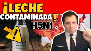 ¡ALERTA ¿TRANSMISIÓN DE GRIPE AVIAR H5N1 EN LECHE PASTEURIZADA  FDA EMITE INFORME [upl. by Hairehcaz]