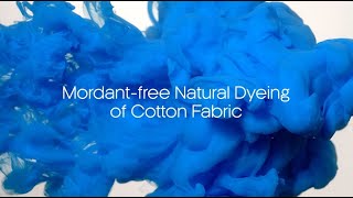 Mordantfree Natural Dyeing of Cotton Fabric [upl. by Lacy]